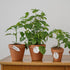 SAVITA 2pcs Trellis for Plants, Small Metal Leaf Shaped Plant Trellis Indoor House Plant Trellises Climbing Plants Mini