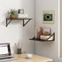12 Inch Set 2, 16" 12" 12 Fun Memories Deep Floating Shelves for Wall, Deep Black Floating Shelves of W x D Wall Shelf