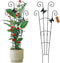 2 Pack 30 Inch Taller Plant Trellis for Potted Climbing Plants Indoor,Expandable