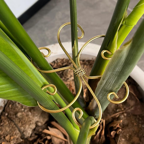 Mewcooss 6pcs Set Plant Stem Support, Iron Monstera Plants Support, Plant Stem Holder Support Unique Design Bamboo