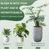 5 Pack 2025 (5 Pack) Stackable Monstera Plant Support, New Plant Stakes for Indoor and Outdoor Plants Use, Garden