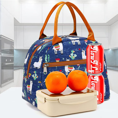 FlowFly Insulated Lunch Cooler Bag - Tote Bag Organizer for Women/Men, Alpaca