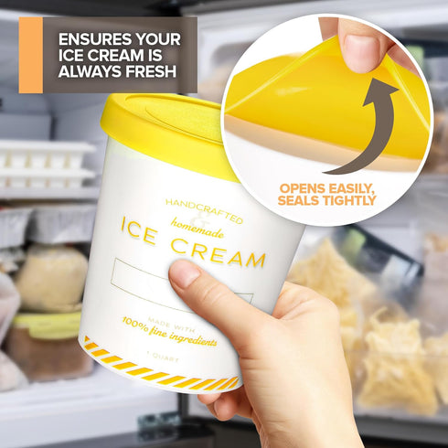 32 oz 4-Pack Frozen 2 Ice Cream Containers with Airtight Silicone Lids ( ) Homemade Ice Cream Container perfect