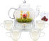 Glass Teapot Set, 40OZ/1200ml Stovetop Safe Glass Tea Kettle with 4 Double-Wall
