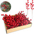 himmel 35 Pack Christmas Tree Decorations,9 inch Artificial Red Berry Stems,Red Berries Christmas