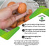 Care Free Enzymes 33.9 oz CareFree Enzymes Egg Washer & Egg Cleaner Natural Enzyme Egg Wash for Fresh Farm Eggs, Safe