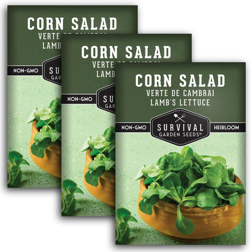 Corn Salad Seeds for Planting - Mache, Lamb's Lettuce - Cold Hardy