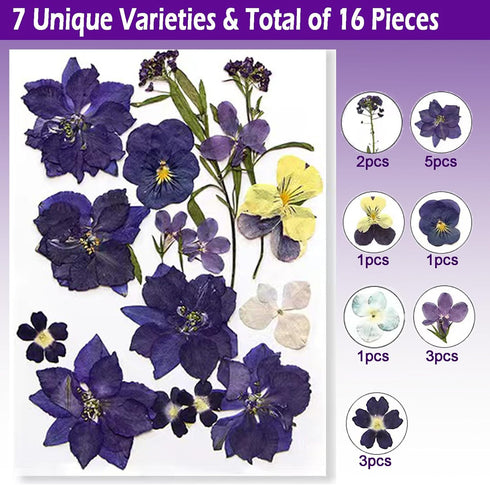 Flowers for Resin Model, Real Pressed Flowers Dry Leaves Bulk Natural Herbs Kit for Scrapbooking DIY Art Crafts, Epoxy
