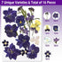 Flowers for Resin Model, Real Pressed Flowers Dry Leaves Bulk Natural Herbs Kit for Scrapbooking DIY Art Crafts, Epoxy
