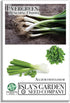 Evergreen Bunching Nebuka Onion Seeds for Planting, 500+ Heirloom Seeds Per Packet,
