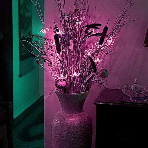 Fairy Flower String Lights, USB & Battery Lighted Decorative Cute Cherry Blossom Indoor Bedroom Window Hanging, Novelty