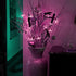 Fairy Flower String Lights, USB & Battery Lighted Decorative Cute Cherry Blossom Indoor Bedroom Window Hanging, Novelty