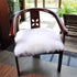 Softlife White Small Faux Fur Sheepskin Throw Rug, Fluffy Shag Fur Chair Cover Pad, Washable 20" x 20"