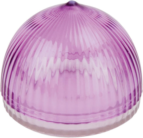 Tulz Canned-and-Jarred-Onions, 4 x 4 x 3.5 inches, Purple, (37051)
