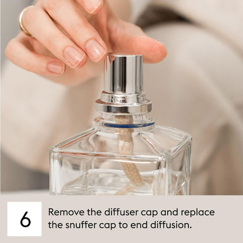 Maison Berger - Ocean Breeze | Lampe Berger Fragrance Refill for Home Fragrance Oil Diffuser, 16.9 Fluid Ounces