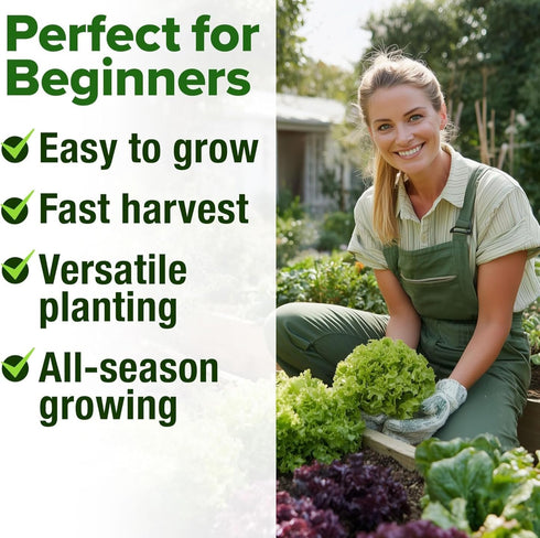 11,500+ 10 HOME GROWN Heirloom Lettuce Seeds - Varieties Including Romaine, Buttercrunch, Iceberg, Kale & Spinach