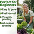 11,500+ 10 HOME GROWN Heirloom Lettuce Seeds - Varieties Including Romaine, Buttercrunch, Iceberg, Kale & Spinach