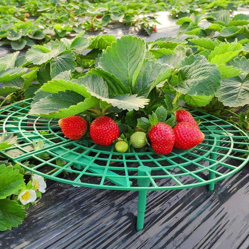 Medoore 5 Pack Strawberry Supports, Adjustable Strawberry Growing Racks Plant Climbing Rack Vine Pillar Garden Stand