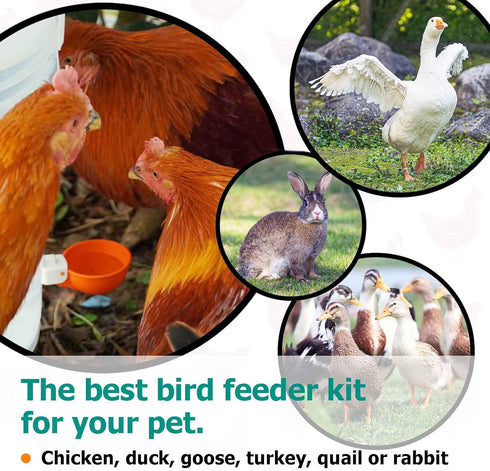 (5 Pack-Green) Large Automatic Chicken Waterer Cups, Chicken Water Feeder Suitable for Chicks, Duck, Goose, Turkey