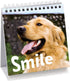 Fancy Land Funny Desk Signs for Dog Lovers - 30 Different Fun and Flip-Over Messages for Office Desk Accessories