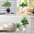 5-9 Inch Vigordream Plant Stand, Indoor/Outdoor Wood Plant Holder, Single Flower Pot Stand, Sturdy Planter Stands, Fit