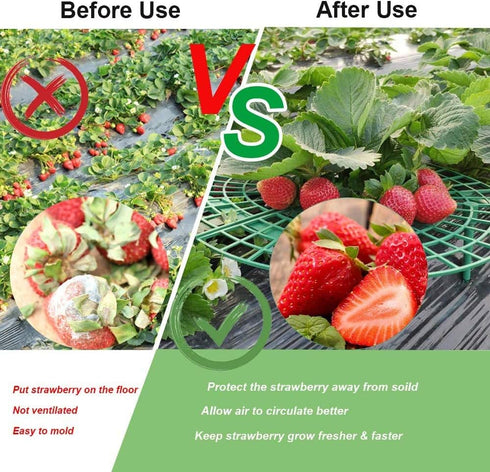 Medoore 5 Pack Strawberry Supports, Adjustable Strawberry Growing Racks Plant Climbing Rack Vine Pillar Garden Stand