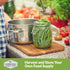 3 Packets French Slenderette Bush Bean Seeds for Planting with Instructions to Grow Haricots Verts in Your Home