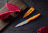4PCS Paring Knife Set, 4 Inch Ultra Sharp Kitchen Knives with Knife Covers, German Steel, PP Plastic Handle