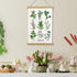 XIAOAIKA Aromatic Herbs Poster Wall Art Prints HD Vibrant Colorful Rustic Style of Herbs Wall Hanging Illustrative