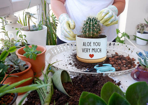 You Very Much - White Ceramic Engraved Mini Succulent Planter Pot | Funny Indoor Flower Pots for Home Office Windowsill
