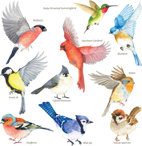 DECOWALL CDS2-9001 Anti-Collision Window Clings, Bird Alert Decals to Prevent Bird Strikes, Set of 10