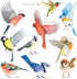 DECOWALL CDS2-9001 Anti-Collision Window Clings, Bird Alert Decals to Prevent Bird Strikes, Set of 10