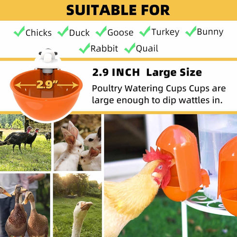 LEWINHOOK (5 Pack), 2.9 Chicken Waterer Cups Automatic Large Poultry Waterer Cups with Anti-Dirt Cover, Suitable