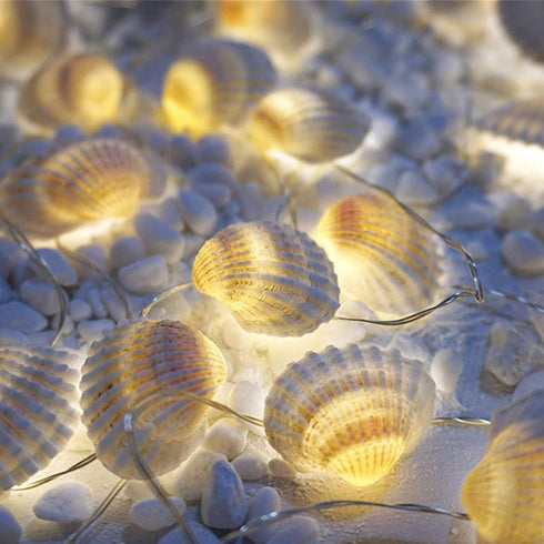 14.1Ft 40 Beach Seashell Decorative String Lights Warm White LED Waterproof Battery Operated Ocean String Lights