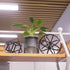 DreamsEden Modern Geometric Sculptures Set - 6" Black Metal Sphere & Cube, Minimalist Tabletop Centerpiece
