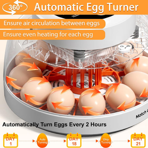 12 Egg Incubator for Hatching Eggs with Automatic Egg Turning, Temperature & Humidity Control Display, Built-in LED Egg