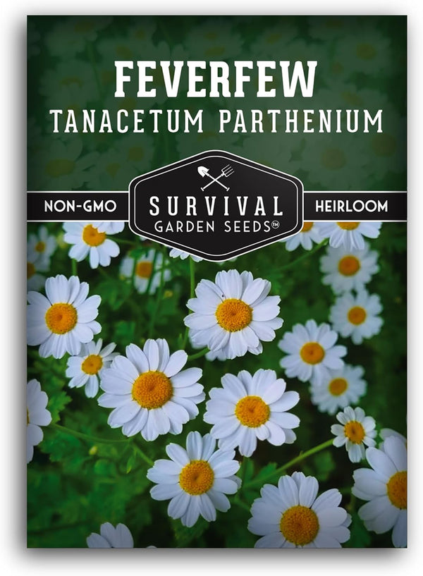 Feverfew Seeds for Planting - Perennial Daisy-Like Flower Herb, Pollinator Friendly Garden,
