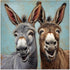 CCWACPP Funny Animal Wall Art - Donkey Canvas Prints for Farmhouse Bathroom and Bedroom Decor (12" x 12")