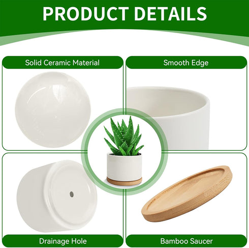 ZOUTOG 4 Inch Ceramic Plant Pot, Pack of 6 White Succulent Pots with Drainage Hole & Bamboo Tray for Home, Office Decor