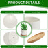 ZOUTOG 4 Inch Ceramic Plant Pot, Pack of 6 White Succulent Pots with Drainage Hole & Bamboo Tray for Home, Office Decor