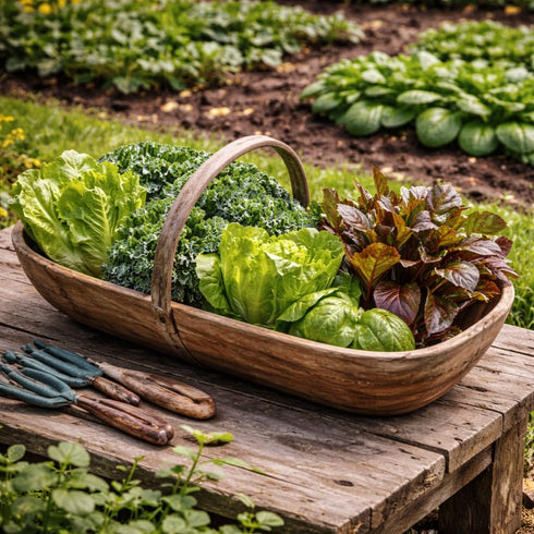 Sunutri Seeds 2500+ 9 Greens Seeds Collection, Seeds, Heirloom Varieties, Arugula, Beet, Upland Cress, Vates Collard