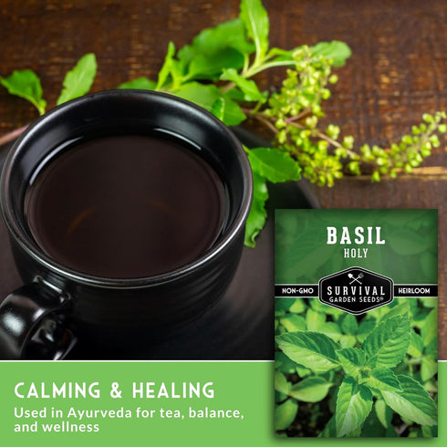 (1 Pack) Holy Basil Seed for Planting - Indian Sacred Herb Tulsi Seeds to Grow in Your Home Vegetable Garden - Non-GMO