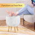 4 Vanity Stool Chair with Storage, Faux Fur Makeup Room Seat Stool, Soft Padded Seat, Round Footrest Footstools