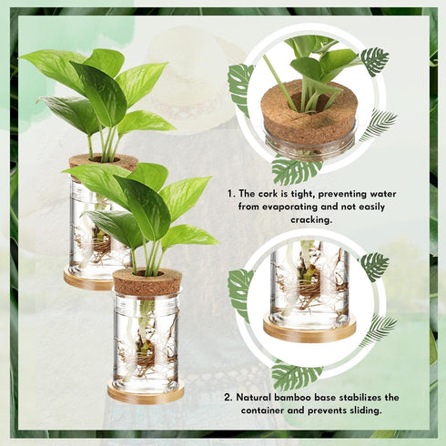 12 Packs Baderke Propagation Vases for Plants Plastic Plant Propagation with Hole Lid and Bamboo Stand Growing in Water