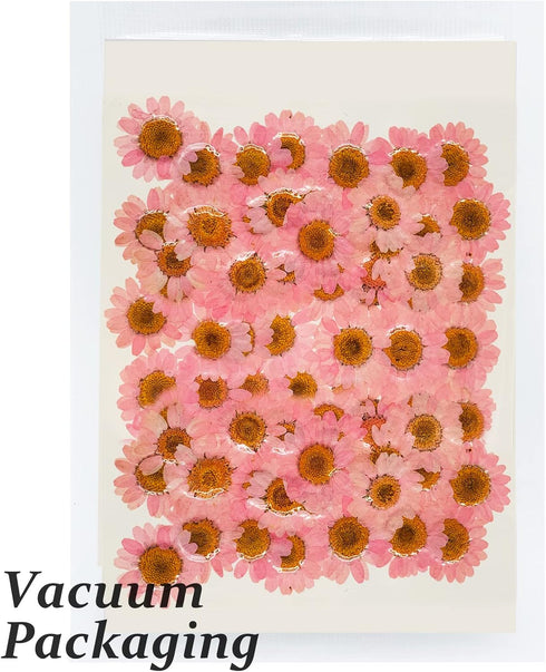 Dried Pressed Flowers, 60PCS Pink Natural Real Daisy for DIY Craft, Scrapbooking, Candle Making