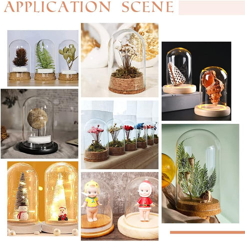 PH PandaHall 8pcs Cloche Bell Jar, 4 Sizes Glass Display Dome with Cork Base for Flower Storage