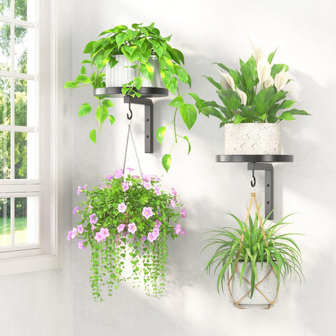 LASZOLA Plant Hangers Shelves Wall Mounted Indoor, Metal Window Plant Holders, 2Pcs