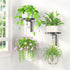 LASZOLA Plant Hangers Shelves Wall Mounted Indoor, Metal Window Plant Holders, 2Pcs