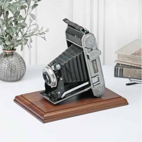 8.875" 5.875" 0.75" Plymor Solid Walnut Rectangular Wood Display Base with Ogee Edge, W x D x H