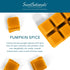 Scentsationals Wax Melts, Pumpkin Spice, Long Lasting Scented Melts, 10oz (24-Cubes)
